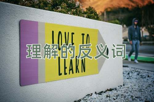 理解的反义词