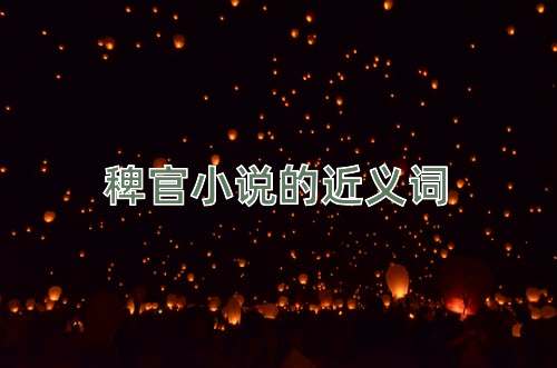 稗官小说的近义词