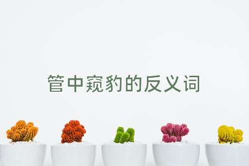 管中窥豹的反义词