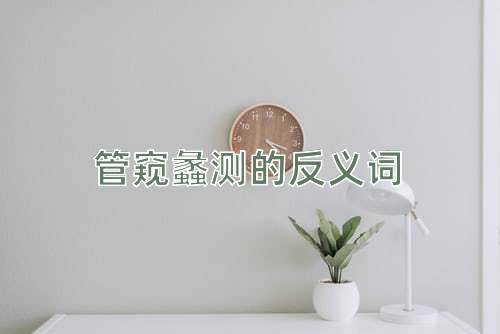 管窥蠡测的反义词