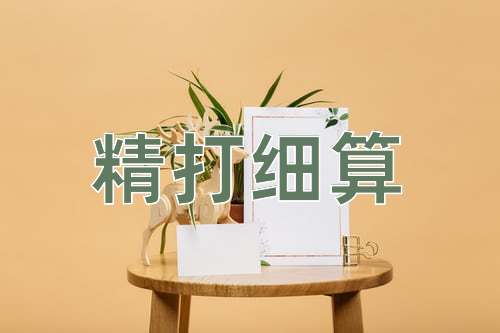 成语精打细算