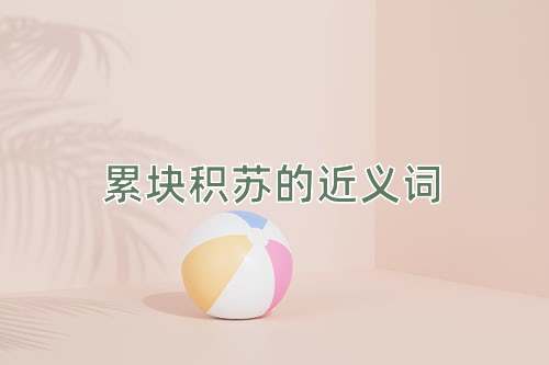 累块积苏的近义词