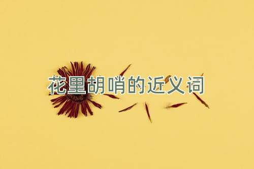 花里胡哨的近义词