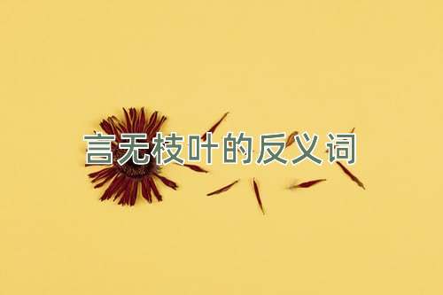 言无枝叶的反义词