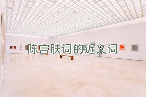 陈言肤词的近义词