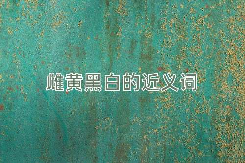 雌黄黑白的近义词