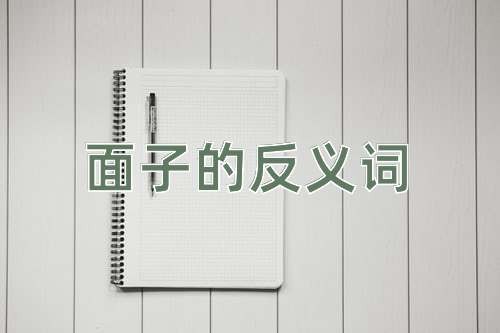 面子的反义词