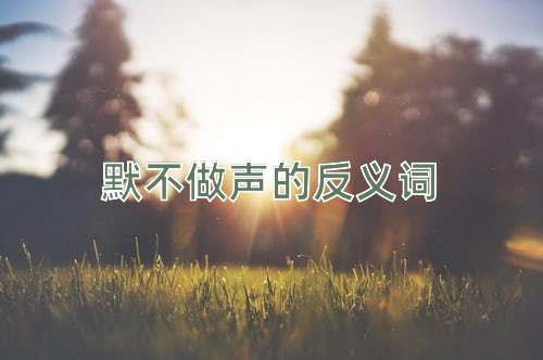 默不做声的反义词