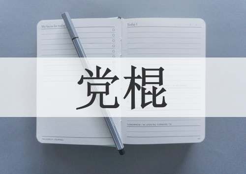 党棍