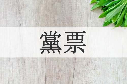 黨票