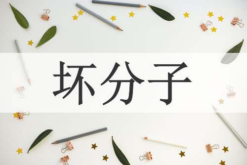 坏分子
