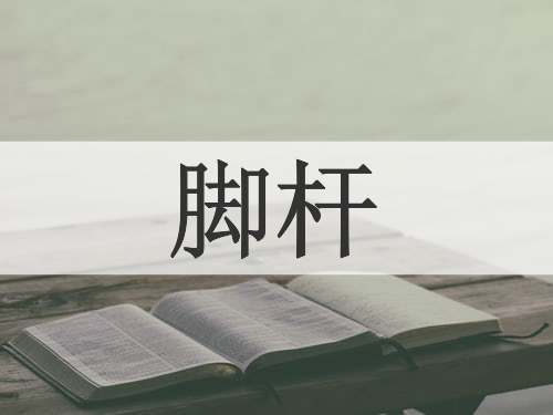 脚杆