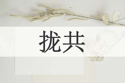 拢共