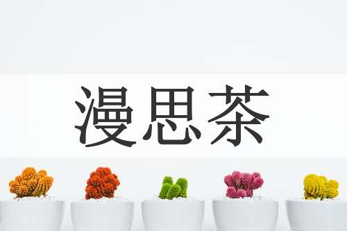 漫思茶