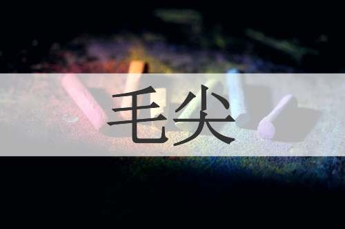 毛尖