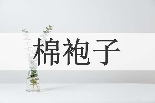 棉袍子