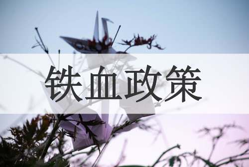 铁血政策
