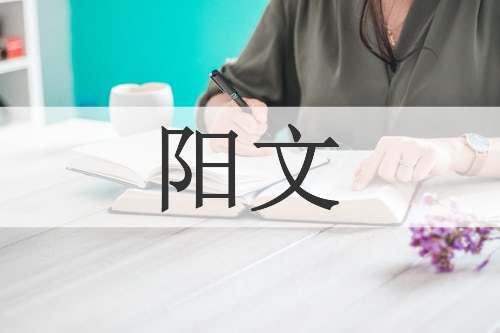 阳文
