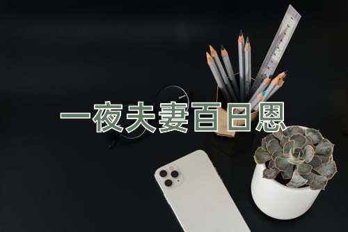 成语一夜夫妻百日恩
