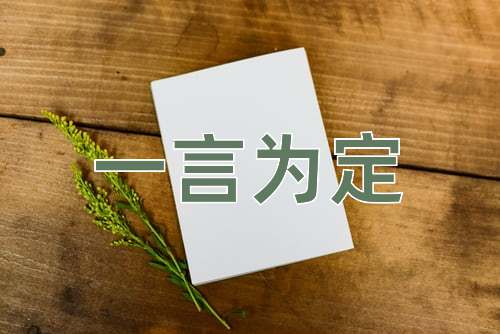 成语一言为定