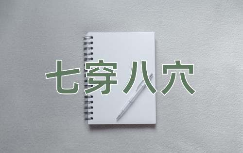 成语七穿八穴