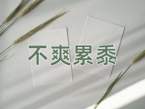 成语不爽累黍