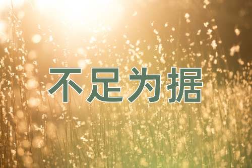成语不足为据
