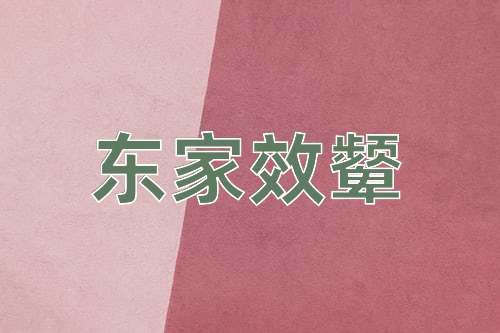 成语东家效颦