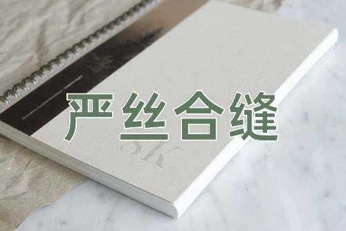 成语严丝合缝