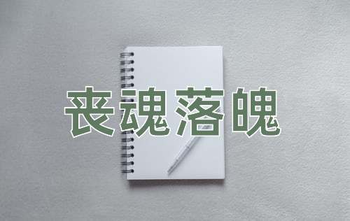 成语丧魂落魄