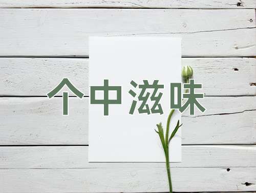 成语个中滋味