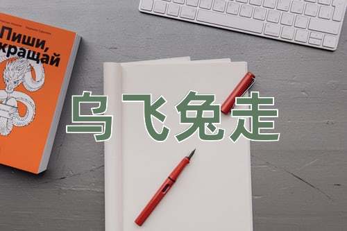 成语乌飞兔走