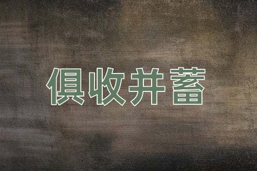 成语俱收并蓄