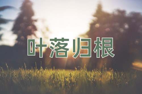 成语叶落归根