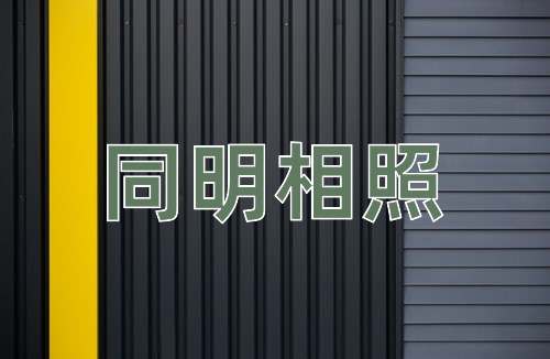 成语同明相照