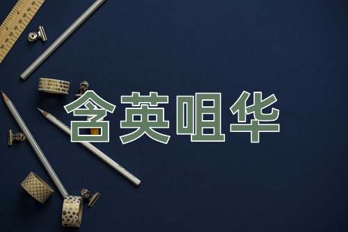 成语含英咀华