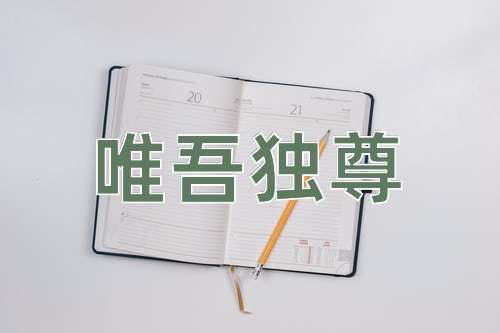 成语唯吾独尊