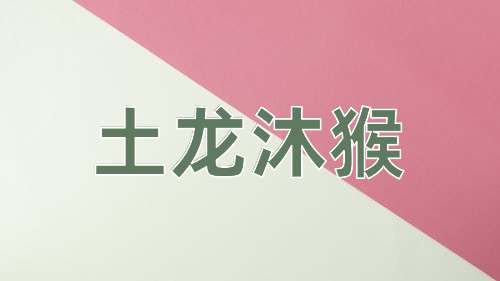 成语土龙沐猴
