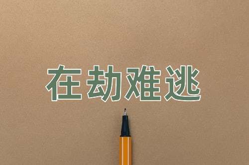 成语在劫难逃