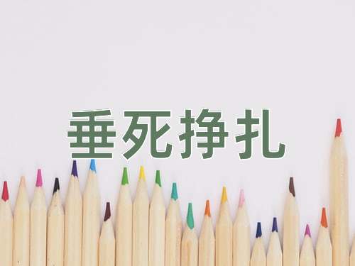 成语垂死挣扎