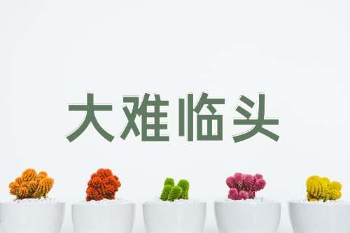 成语大难临头