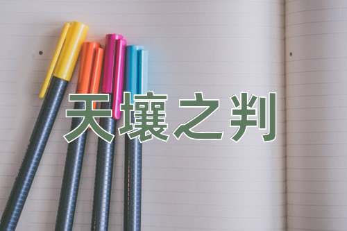 成语天壤之判