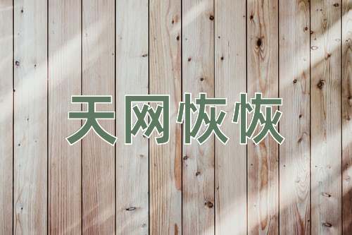 成语天网恢恢