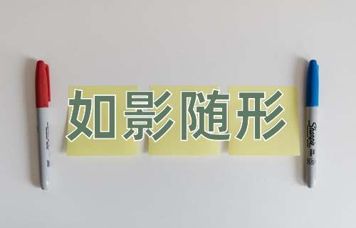 成语如影随形
