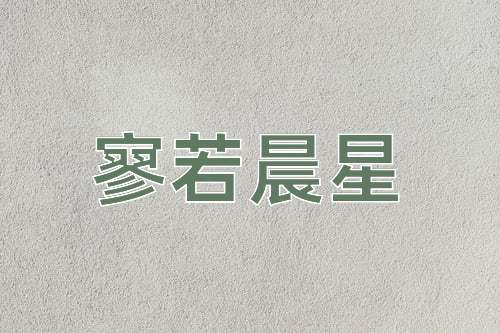 成语寥若晨星