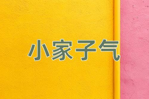 成语小家子气