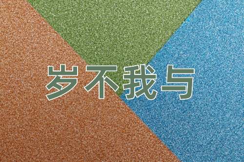 成语岁不我与