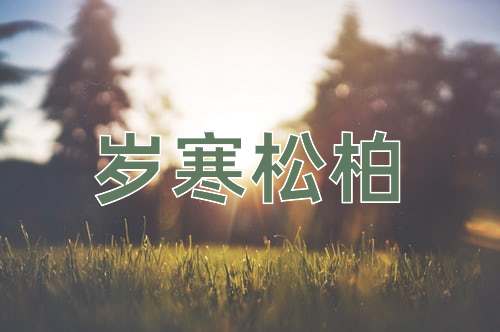 成语岁寒松柏