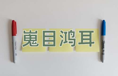成语嵬目鸿耳