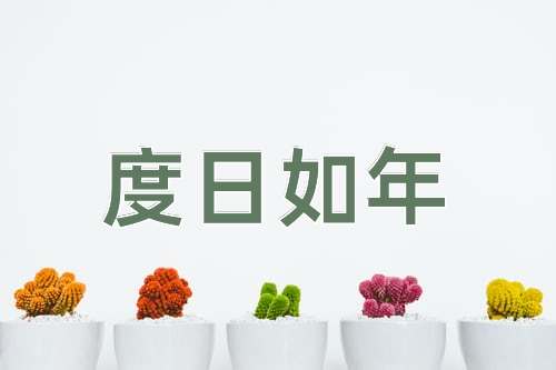 成语度日如年